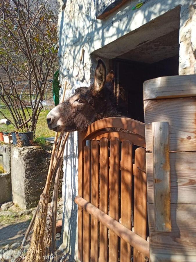 Agriturismo Cascina Gervasoni ซานโจวานนิบิอันโก ภายนอก รูปภาพ